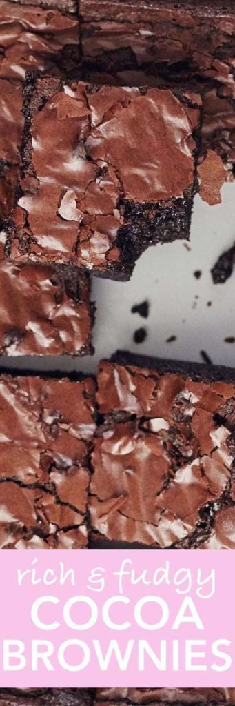 Brownie Recipes: Rich & Fudgy Cocoa Brownies